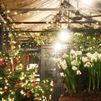 Petersham Nurseries Candlelit Christmas Shopping and Carols hotels title=