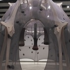Ernesto Neto