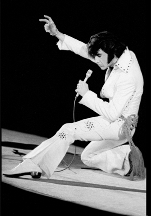 Elvis Presley in Concert Elvis Presley in Concert