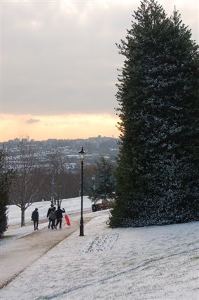 Hillfield Park