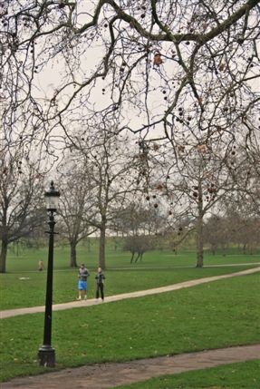 Primrose Hill - Primrose Hill Primrose Hill - Primrose Hill