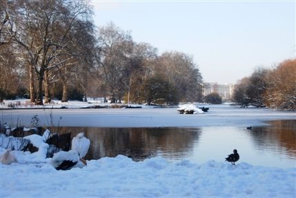 Morpeth Terrace - St James's Park, Winter Morpeth Terrace - St James's Park, Winter