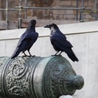 Tower Of London