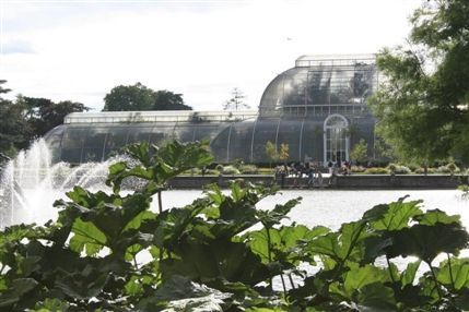Kew Gardens (Royal Botanic Gardens) - Palm House Kew Gardens (Royal Botanic Gardens) - Palm House