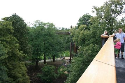 Rhizotron and Xstrata Treetop Walkway
