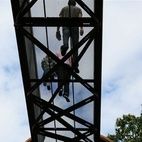 Rhizotron and Xstrata Treetop Walkway hotels title=