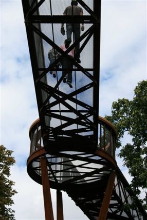 Rhizotron and Xstrata Treetop Walkway