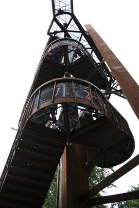 Rhizotron and Xstrata Treetop Walkway