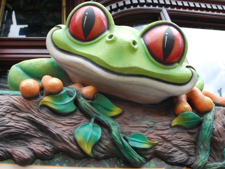 Rain Forest Cafe