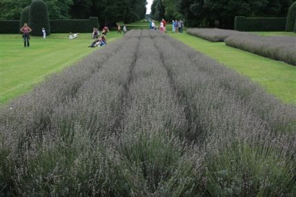 Kew Gardens (Royal Botanic Gardens) Kew Gardens (Royal Botanic Gardens)