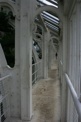 Kew Gardens (Royal Botanic Gardens) - Temperate House Kew Gardens (Royal Botanic Gardens) - Temperate House