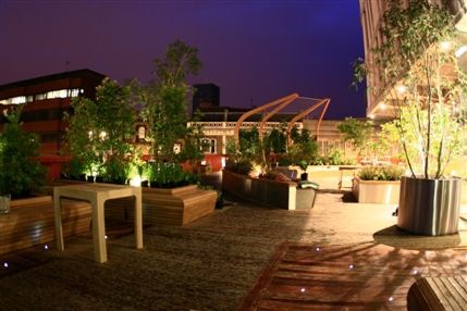 Lyric Hammersmith Roof Garden