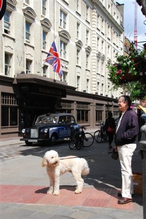 Seven Dials - Seven Dials & The Raddison Edwardian Mountbatten Hotel