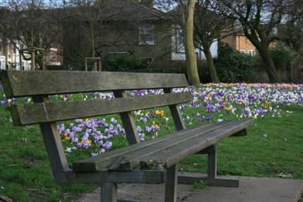 Ravenscourt Park