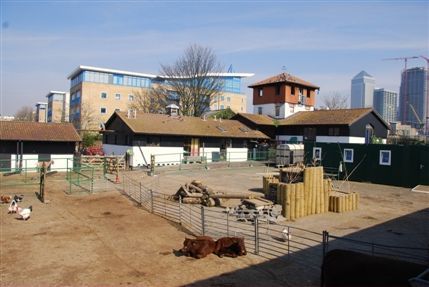 Surrey Docks Farm - Surrey Docks Farm