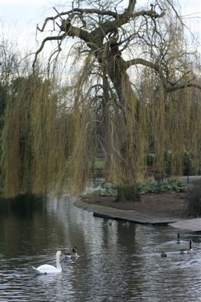 Ravenscourt Park