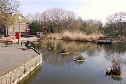 Farrins Rents - Lavender Pond In Rotherhithe