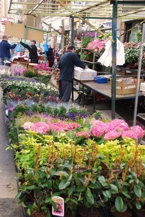 Leather Lane Market - Leather Lane Market