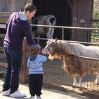 Surrey Docks Farm