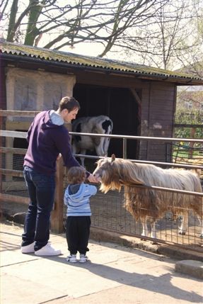 Surrey Docks Farm - Surrey Docks Farm