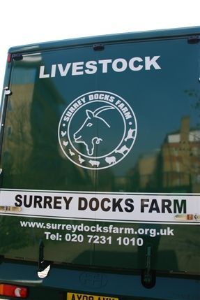Surrey Docks Farm - Surrey Docks Farm
