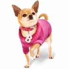 Legally Blonde: The Musical