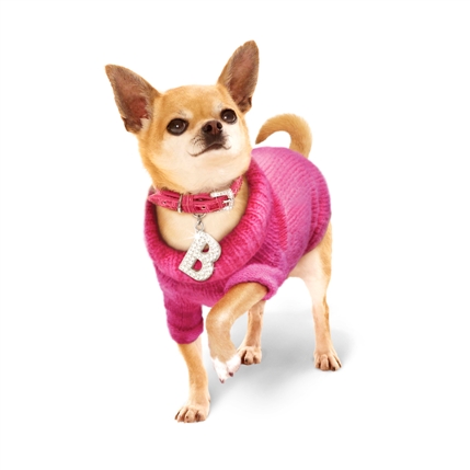 Legally Blonde: The Musical