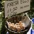 Osterley Park and House - Basket of fresh eggs at the farm shop at Osterley Park © NTPL / Ian Shaw Osterley Park and House - Basket of fresh eggs at the farm shop at Osterley Park © NTPL / Ian Shaw
