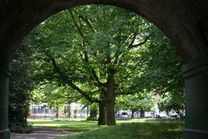 Ravenscourt Park