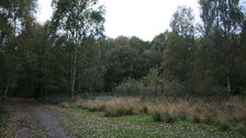 Wimbledon Common