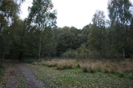 Wimbledon Common Wimbledon Common