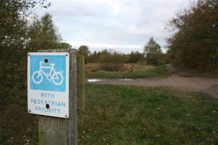 Wimbledon Common