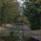 Wimbledon Common