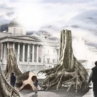 Ghost Forest