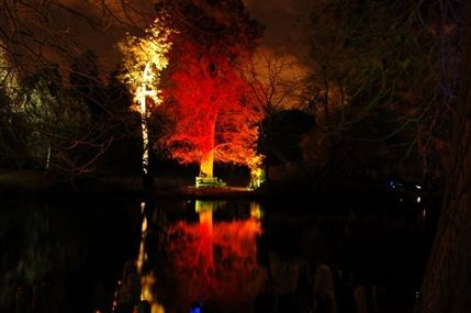 The Enchanted Woodland - by Tony Marshall The Enchanted Woodland - by Tony Marshall