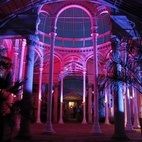 The Enchanted Woodland