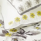 Designers Guild