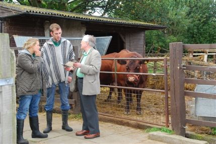 Surrey Docks Farm