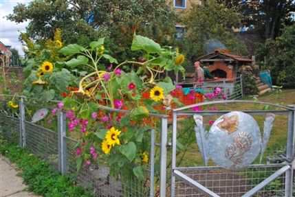 Surrey Docks Farm