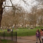 Highbury Fields
