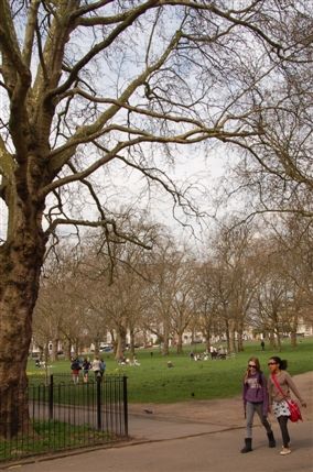 Crane Grove - Highbury Fields
