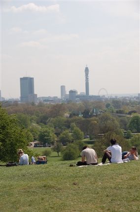 Primrose Hill Primrose Hill