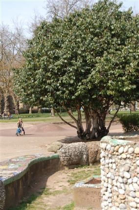 London Fields