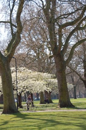 London Fields