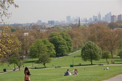 Primrose Hill Primrose Hill