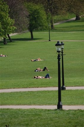 Primrose Hill Primrose Hill