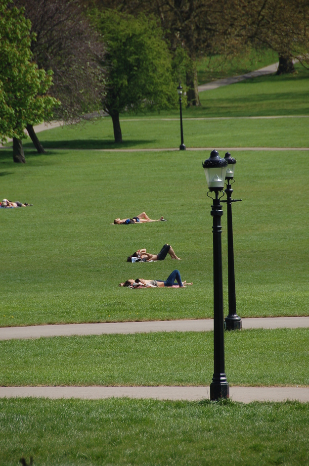 Primrose Hill