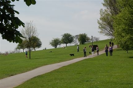 Primrose Hill Primrose Hill