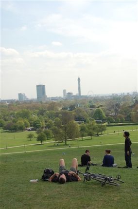 Primrose Hill Primrose Hill