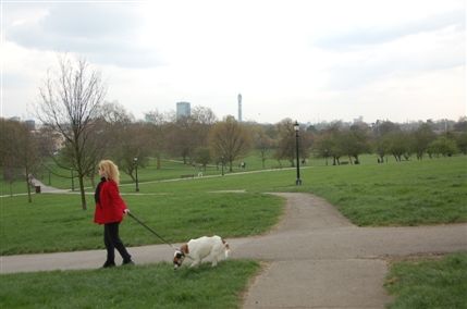 Primrose Hill Primrose Hill